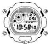 CASIO 3269 - Beleuchtung - 2