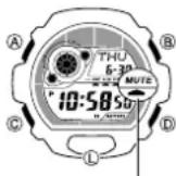 CASIO 3269 - Bedlenungston - 1