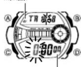 CASIO 3267 - Countdown-Startzeit und Wiederholautomatik einstellen - 1
