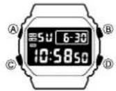 CASIO 3229 - CASIO® - 2