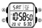 CASIO 3239 - Über diese Anleitung - 1