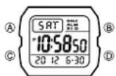 CASIO 3239 - Über diese Anleitung - 2