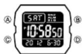 CASIO 3239 - Über diese Anleitung - 3