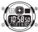 CASIO 3199 - Über diese Anleitung - 2