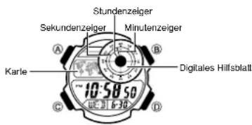 CASIO 3198 - Referenz - 1