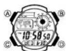 CASIO 3198 - Über diese Anleitung - 1