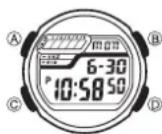 CASIO 3149 - Über diese Anleitung - 1