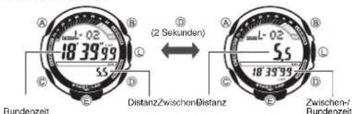 CASIO 3166 - Zielerfüllungsgrafik - 3