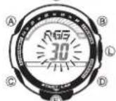 CASIO 3166 - Gewicht - 1