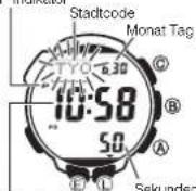 CASIO 3173 - P-Indikator - 1