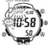 CASIO 3173 - P-Indikator - 2