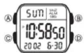 CASIO 3092 - Über diese Anleitung - 1