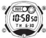 CASIO 2925 - Über diese Anleitung - 1