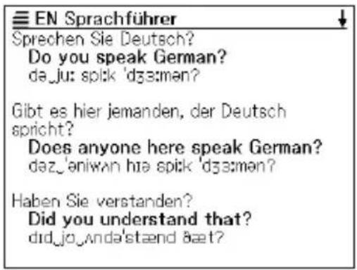 EN Sprachführer Sprechen Sie Deutsch? Do you speak German? da_ju: spik 'dʒə:mən? Gibt es hier jemanden, der Deutsch spricht? Does anyone here speak German? daʒ'eniwan hɪe spik 'dʒə:mən? Haben Sie verstanden? Did you understand that? did_jo_anda'stænd 8æt?