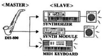 CASIO DH-800 - MIDI - 1