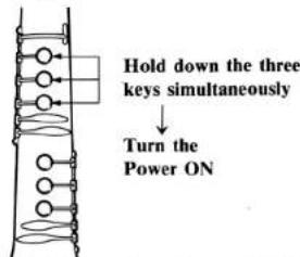 Hold down the three keys simultaneously Turn the Power ON