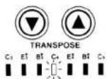 CASIO DH-500 - Transpose Function - 1