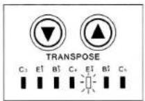 CASIO DH-500 - Transpose Function - 2