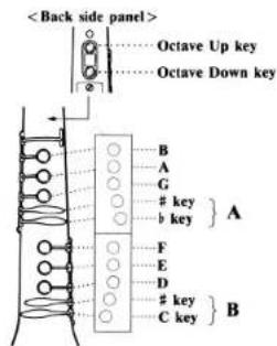 Octave Up key Octave Down key A B A G key b key F E D key C key B