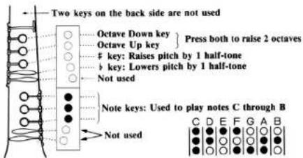 Two keys on the back side are not used Octave Down key Octave Up key key: Raises pitch by 1 half-tone key: Lowers pitch by 1 half-tone Not used Note keys: Used to play notes C through B Not used