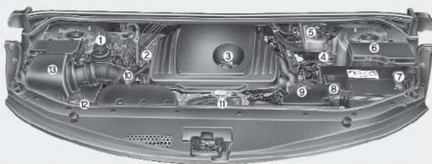 Technical diagram of a car engine bay with numbered components for identification
