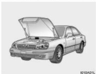 HYUNDAI Grandeur (2004) - VERBRAUCHERIN FORMATION - 1