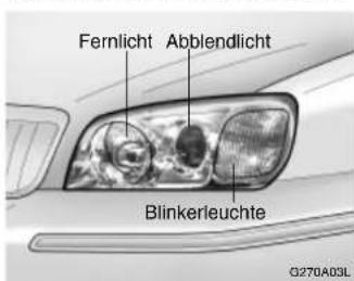 Fernlicht Abblendlicht Blinkerleuchte 0270A03L