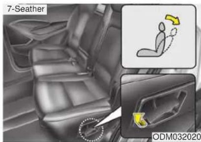 7-Steather ODM032020