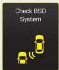 Check BSD System