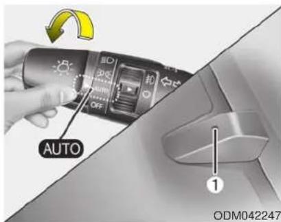 AUTO 1 ODM042247
