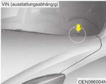 VIN (ausstattungsabhängig) OEN086004N