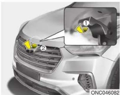 HYUNDAI Grand Santa Fe (2017) - MOTORHAUBE - 2