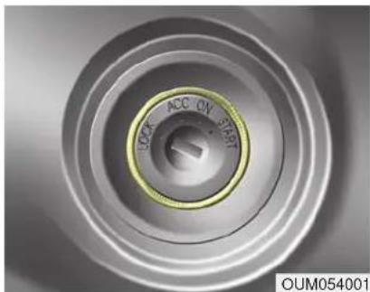 LOCK ACC ON PLANT OUM054001