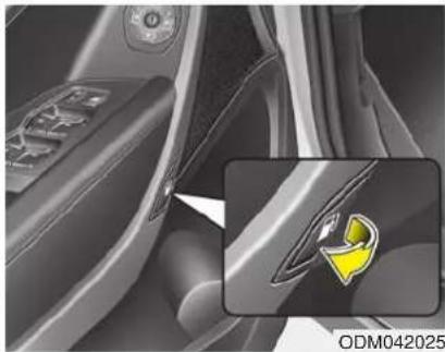 HYUNDAI Grand Santa Fe (2017) - TANKKLAPPE - 1