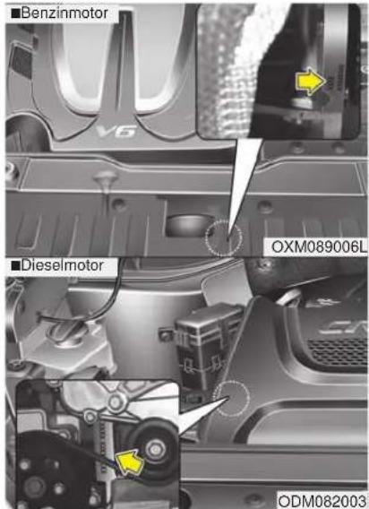 Benzimotor V6 OXM089006L Dieselmotor ODM082003