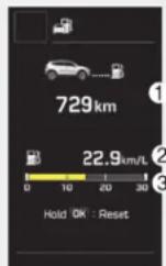 HYUNDAI Grand Santa Fe (2017) - Verbrauch - 4
