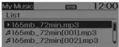 My Music USB 12:00 List ►165mb_72min.mp3 ►165mb_72min[001].mp3 ►165mb_72min[002].mp3