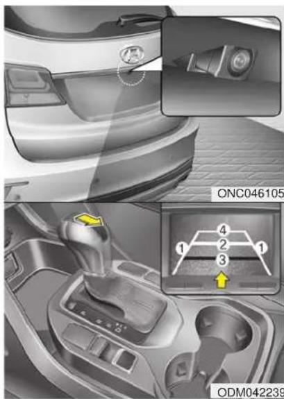 ONC046105 ODM042239