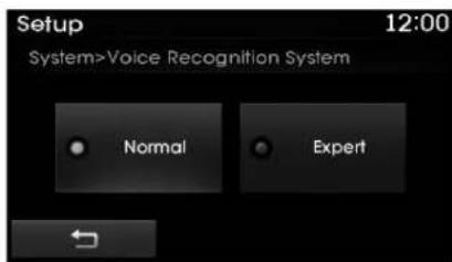 Setup 12:00 System>Voice Recognition System Normal Expert