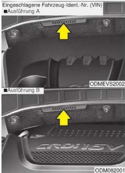 Eingeschlagene Fahrzeug-Ident.-Nr. (VIN) ■Ausführung A X0000 X0000 ■Ausführung B ODMEVS2002 X0000 X0000 CRD16V ODM082001