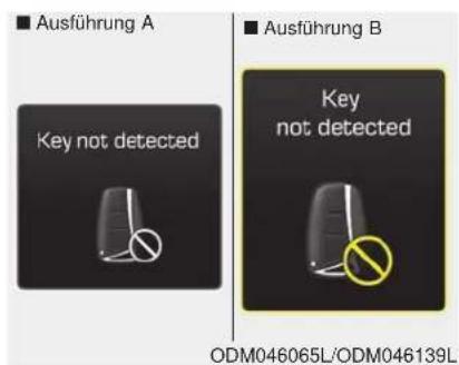 Ausführung A Key not detected Ausführung B Key not detected ODM046065L/ODM046139L