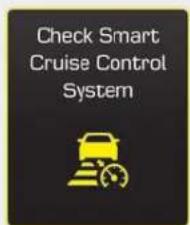 Check Smart Cruise Control System
