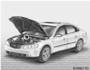 HYUNDAI Azera (2005) - (VIN) - 1