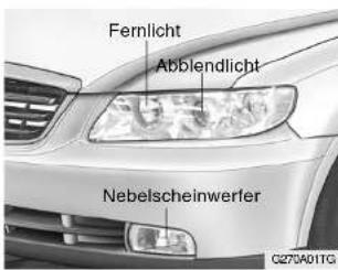 Fernlicht Abblendlicht Nebelscheinwerfer C0270A01TG