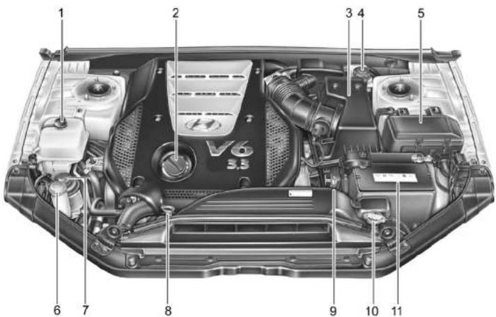 1 2 3 4 5 6 7 8 9 10 11 V6 3.5