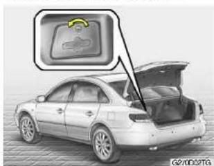 HYUNDAI Azera (2005) - Blinkleuchte - 1