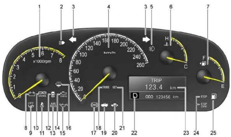 1 2 3 4 5 6 7 x1000rpm km/h H F E TRIP 123.4 km 000 123456 km OFF KONOK GRAKE AIR BAG CHECK CRISE SET ESP OFF ESP 23 24 25