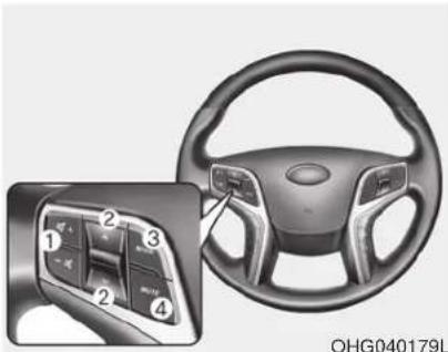 HYUNDAI Azera (2016) - CAUTION - Antenna - 1