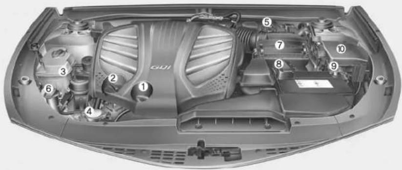 Technical diagram of a car engine bay with numbered components for identification