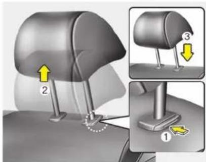 Medical illustration showing a seated car head with labeled parts and directional arrows indicating movement or positioning.